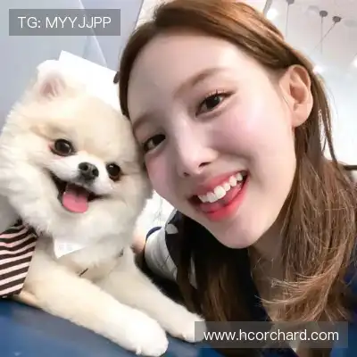 赵鸽